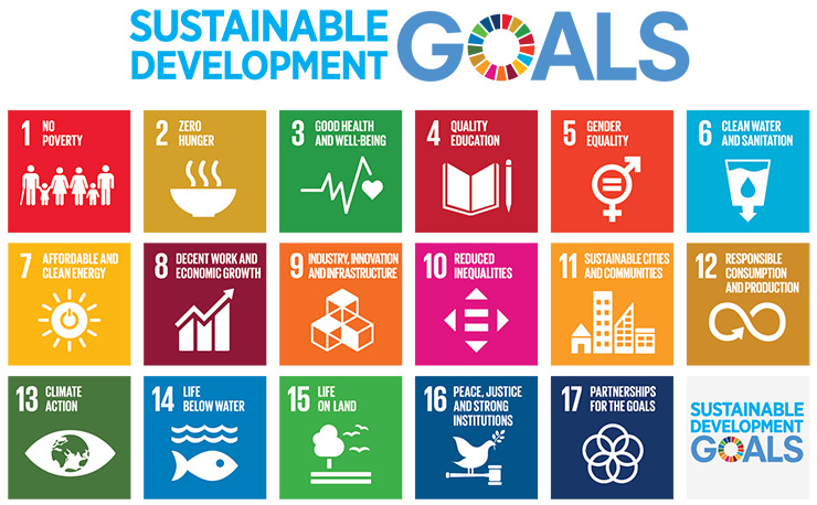 Samen voor de SDG’s, samen voor een meer duurzame en inclusieve samenleving