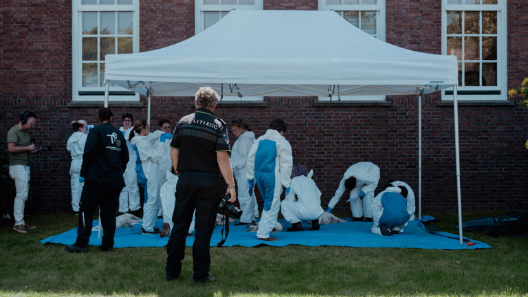 studenten meten de kadavers van de varkens